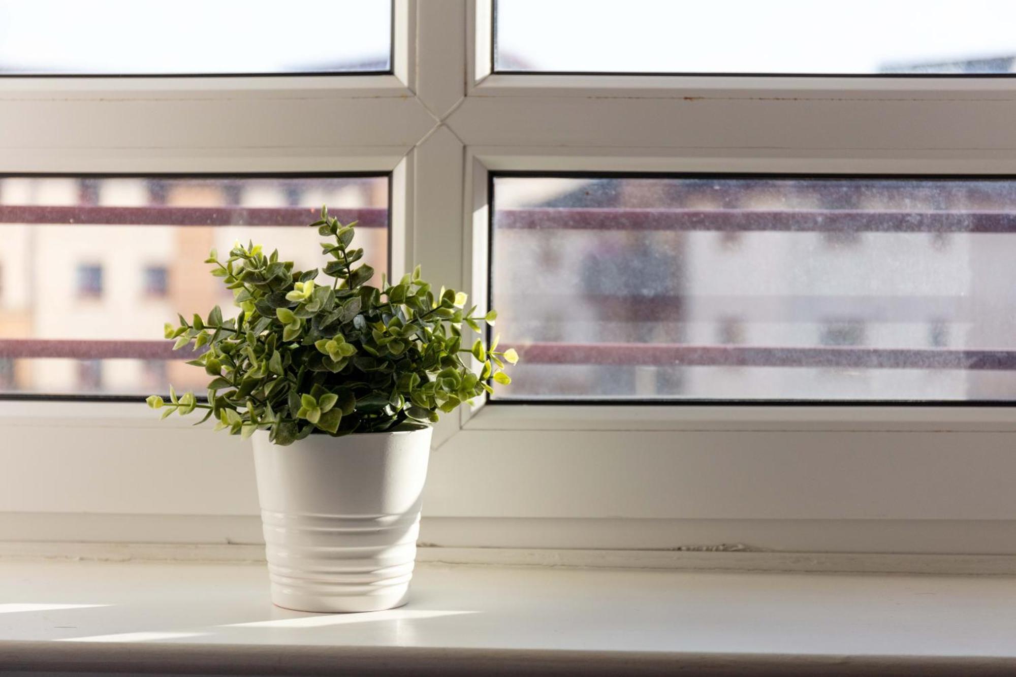 The Original Donnini Apartment Ayr Esterno foto